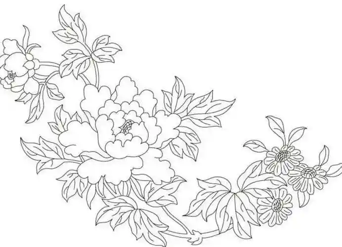 画法图片_牡丹花简笔画_工笔牡丹花简单工笔画牡丹图片牡丹花植物简笔