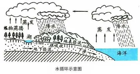 水循环图简笔画