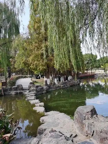 随手拍(一四三)泗泾老街在翻新 泗泾公园风景好