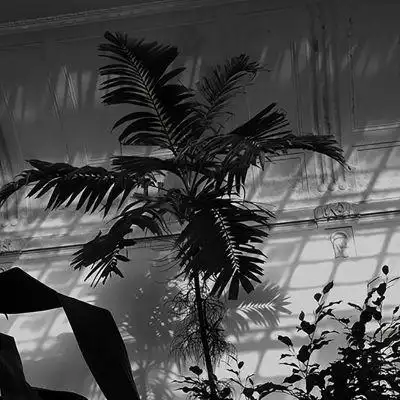 ins高级感黑色系背景图朋友圈