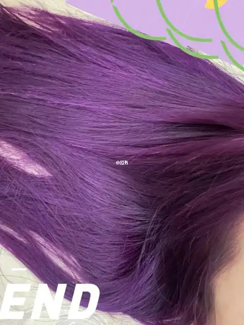 紫色发系