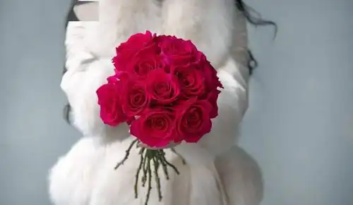 看那花朵如此鲜艳