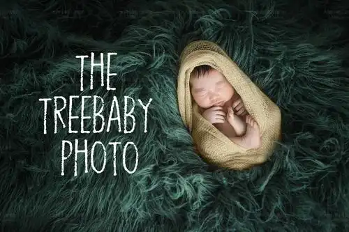 满月车要开了快跟上明星晒宝宝满月照