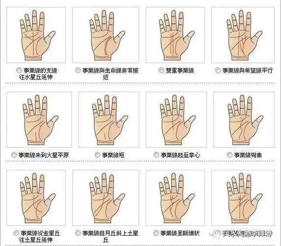 男人手相事业线的图解