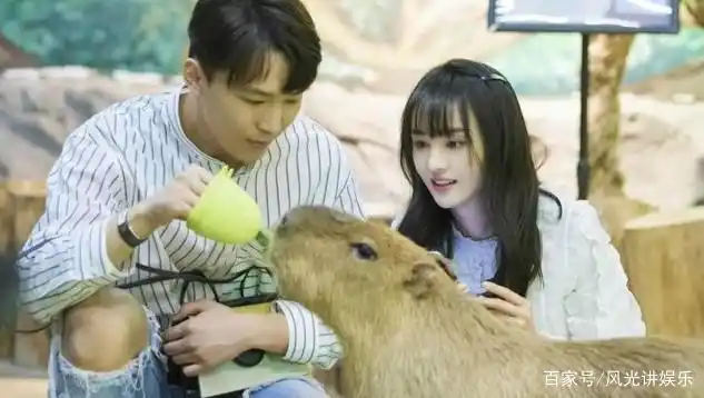 但侯明昊明显也是10g冲浪高手,网民怀疑矛头对准他时,侯明昊队迅速