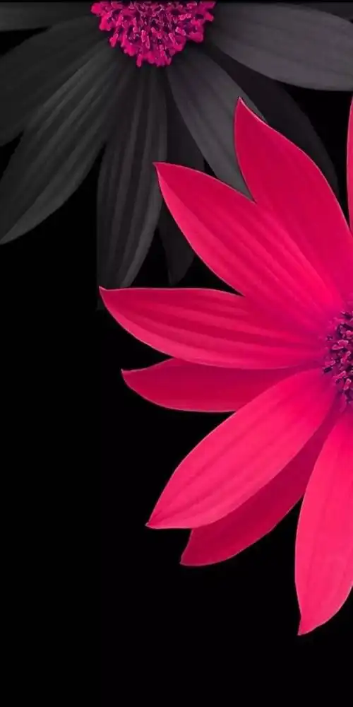 品牌 内置 内置壁纸 小米 三星 壁纸 主屏 锁屏 超高清 高清 求粉可求