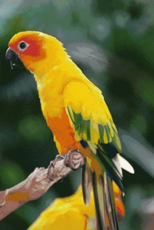 640_958竖版 竖屏gif 动态图 动图