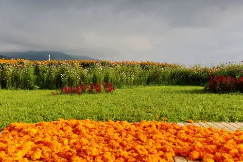 美好与真实,总悬一线,摇曳于指上流年,盈盈又盈盈,到萧萧成寂寥,心事