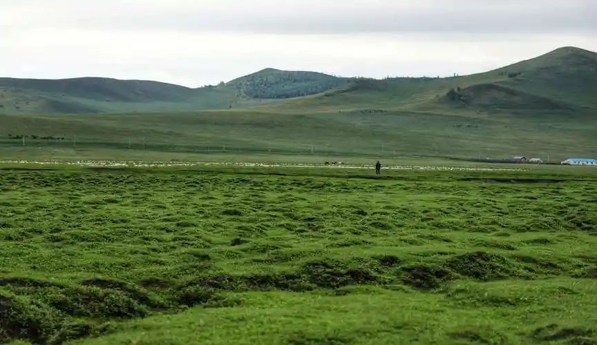 秋雨泼在呼伦贝尔大草原上