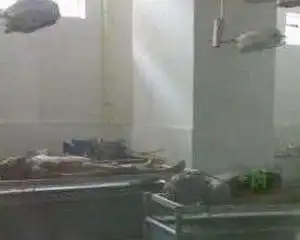 医科大学地下停尸间是怎样的?