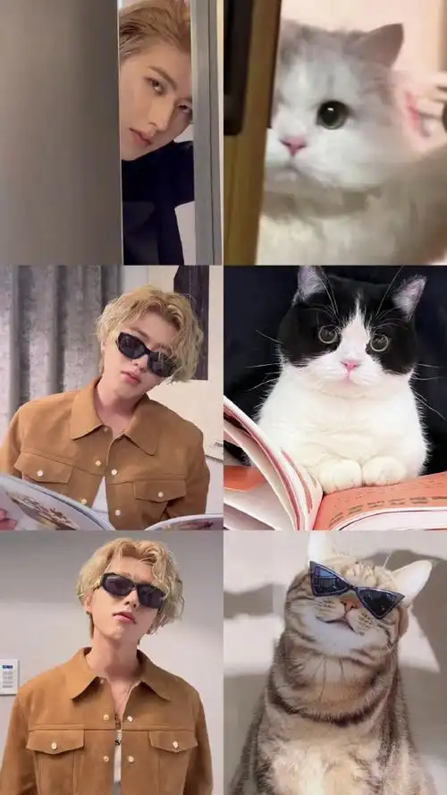 蔡徐坤猫塑自己