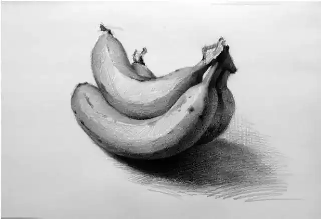 素描基础画素描静物单个物体单个静物素描高考艺术美术素描静物苹果