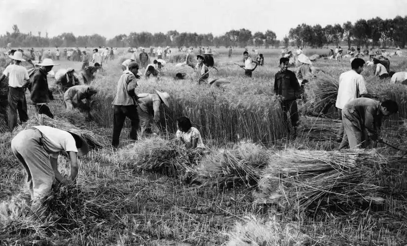 60年代的中国老照片5