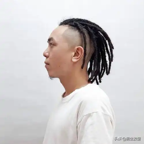 男生辫子发型14款男生脏辫发型