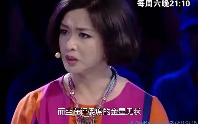 怒斥移民华人明星,揭开潘石屹"伪慈善",金星到底有多敢说