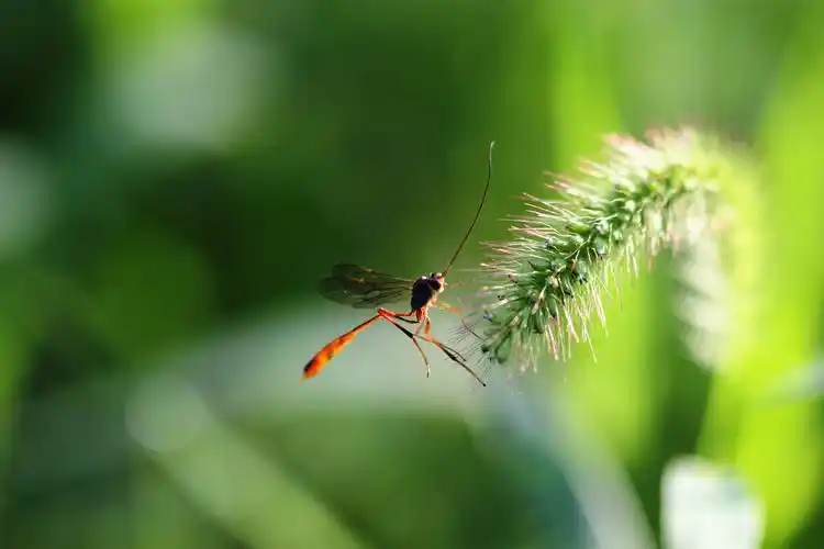 原图欣赏-太平洋摄影部落