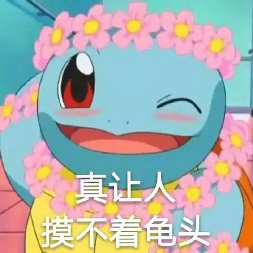 这是一条杰尼龟表情包的合集