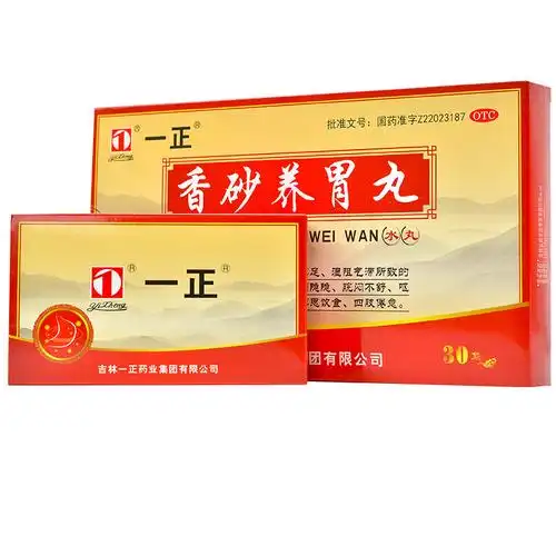 一正 香砂养胃丸 9g*30袋(水丸)0449