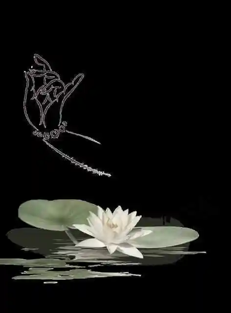 静心图片(致自己心静的句子)