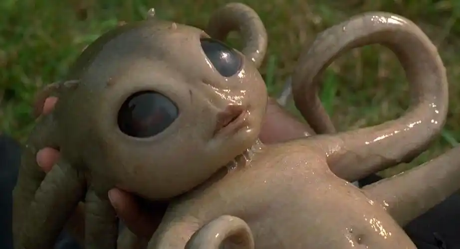 黑衣人给外星人接生,小宝宝真可爱还有点小调皮  l瓜先生电影的微博