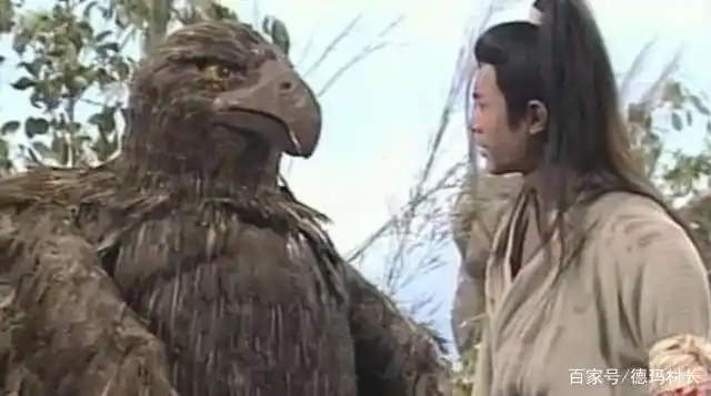 还记得《神雕侠侣》中的雕兄吗?现在它也开始撒狗粮了!