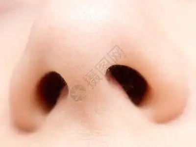 鼻孔人图片
