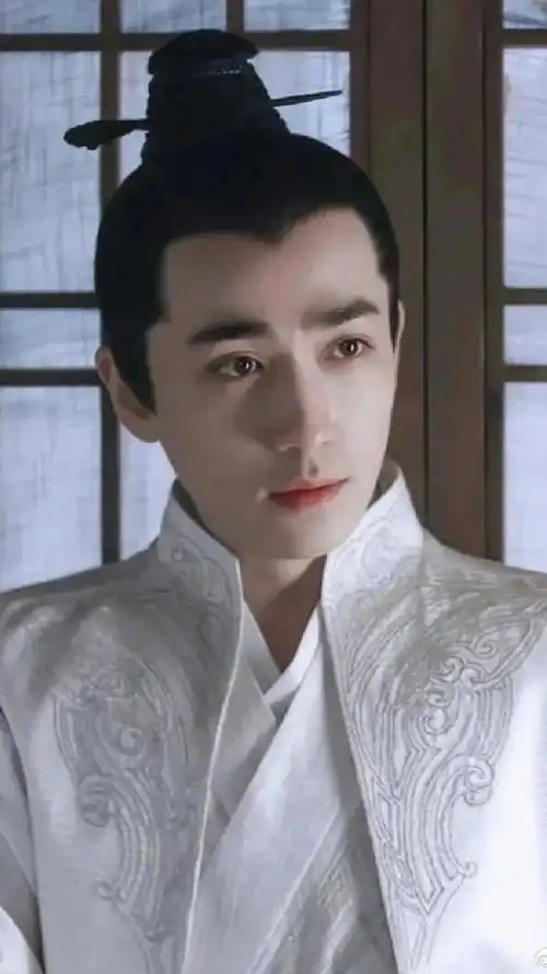 古装美男具象化    #朱一龙齐衡##优酷开知否限免