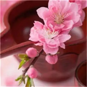 桃花头像高清图片