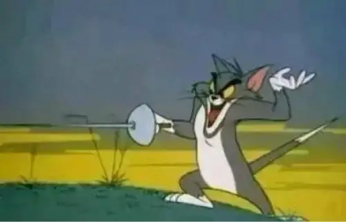 他会击剑大提琴小提琴