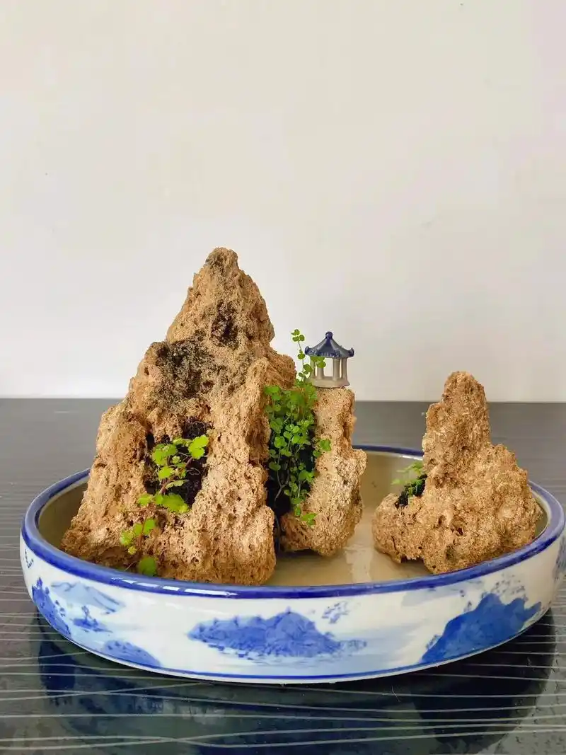 吸水石 #假山制作 #鱼缸造景 #室内小景观意境设计 - 抖音