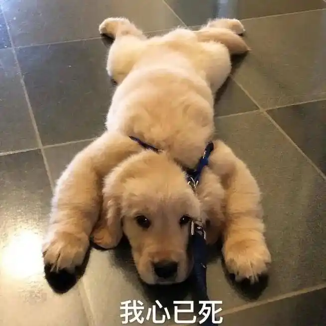 专治不开心 #搞笑 #沙雕表情包 - 抖音