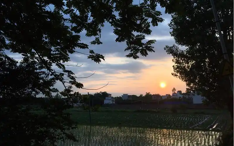 傍晚时分的乡村