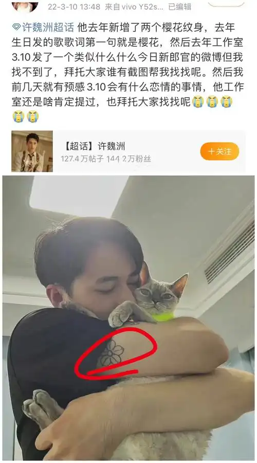 许魏洲真的很爱自己的妻子,他在胳膊上纹了樱花的纹身,在新歌《stay