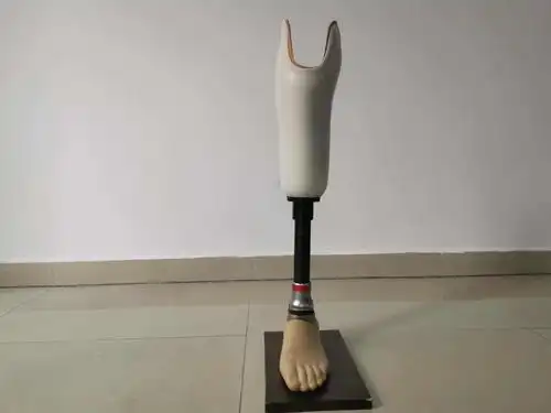 小腿假肢可以被使用多少年?存在不可控因素