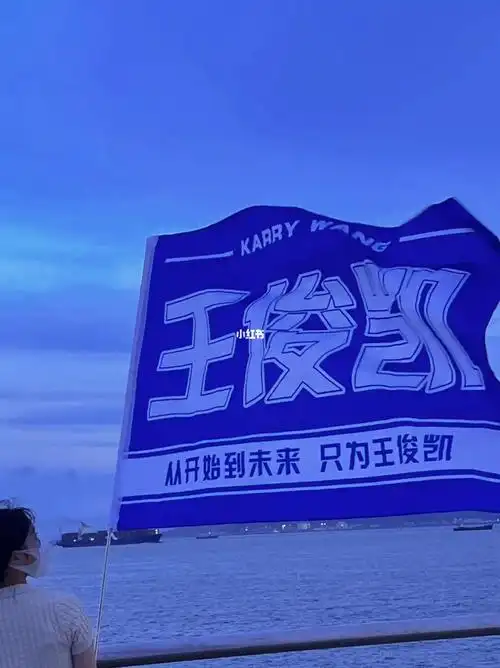 蓝色和你最配,为凯举大旗97#王俊凯  #追星  #我的追星日常  #追星