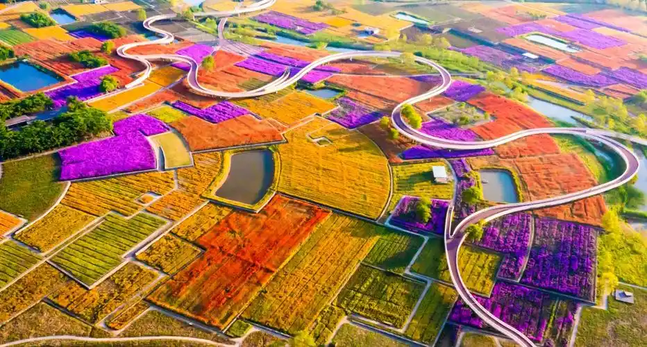 5月5日,宿迁市三台山森林公园衲田花海景区,百花齐放,美不胜收.