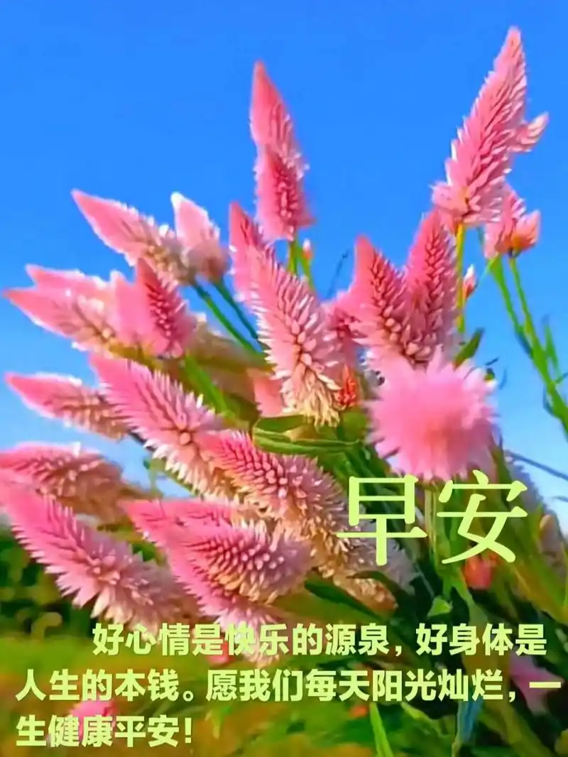 朋友圈早安问候文案图片 好心情是快乐的源泉,好身体是人生的本钱.