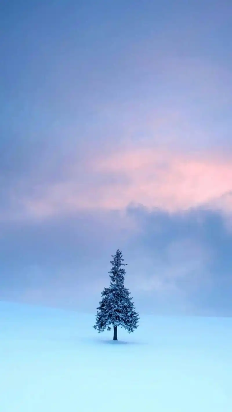 小清新护眼美景高清图片手机壁纸