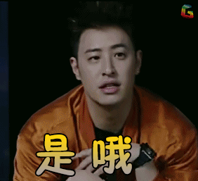 soogifsoogif出品潘玮柏中国有嘻哈是哦gif动图_动态图_表情包下载