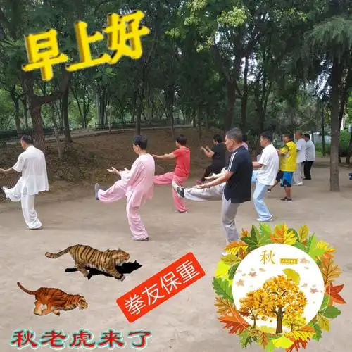 拳友们早上好,天天晨练身体好,吴式太极拳训练基地