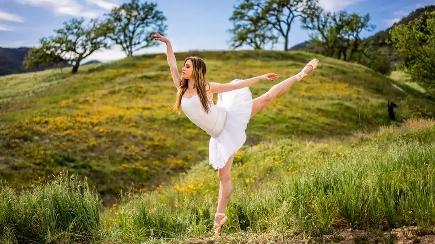 户外 野花 芭蕾舞女演员壁纸