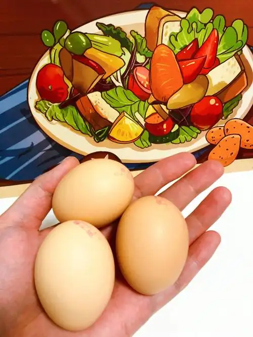 喜欢吃鸡蛋的宝子看过来啦