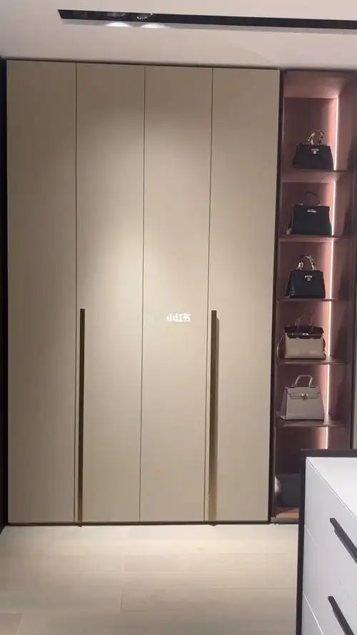 混油实色衣柜搭配黑胡桃木皮开放式衣帽间