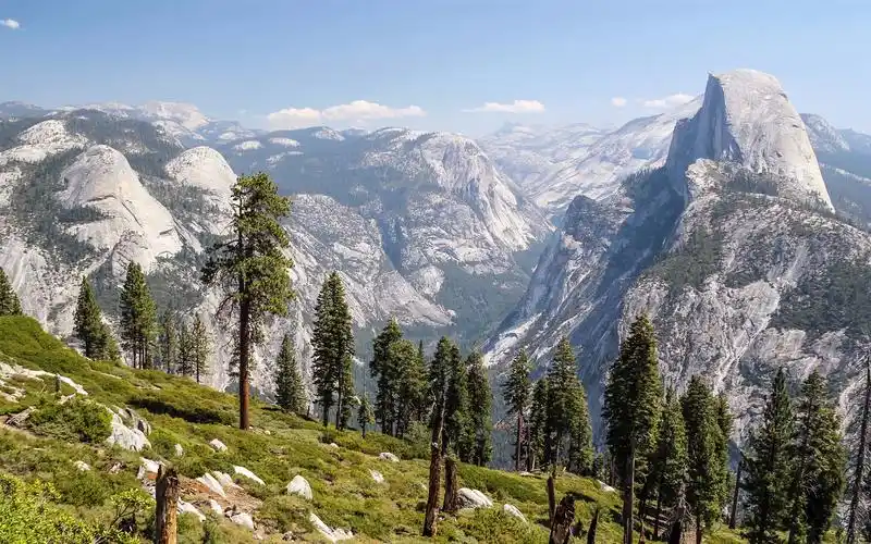原始森林自然风光高清照片桌面壁纸