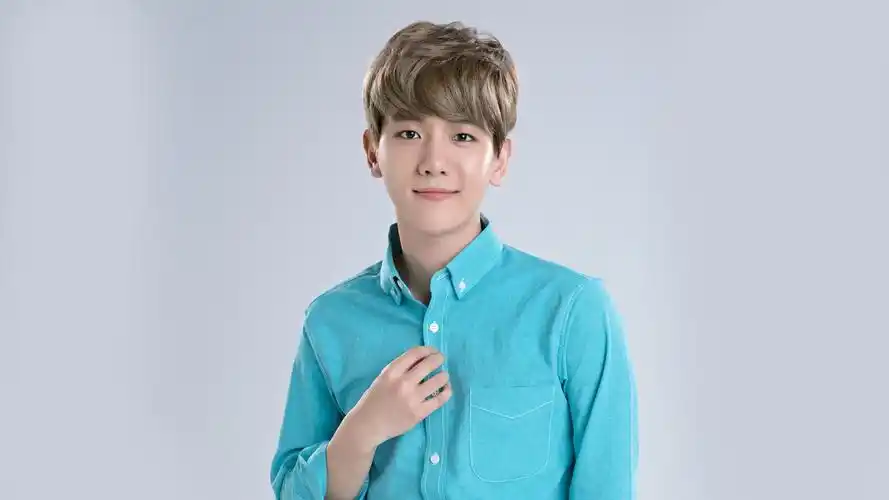 exo exo-k 电脑壁纸 边伯贤 baekhyun超清 高清 无水印 韩国【weare