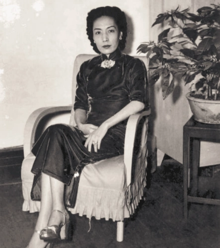 民国姨太太们的珍贵照片,没有ps的年代,她们才是出水芙蓉