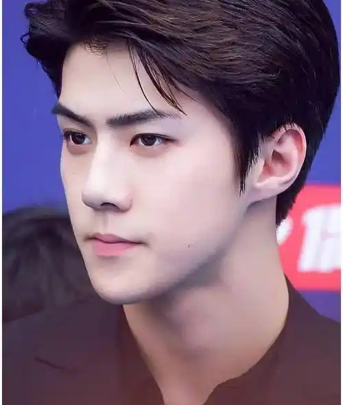 亚太地区男明星(亚太男星100名)