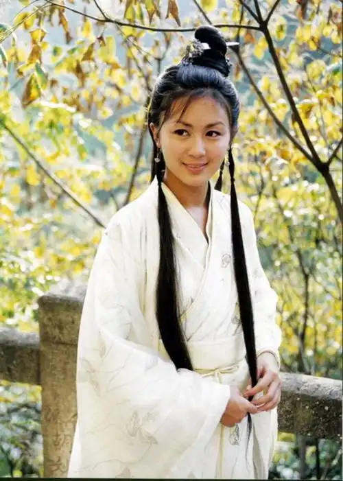 唐宁 大唐双龙传