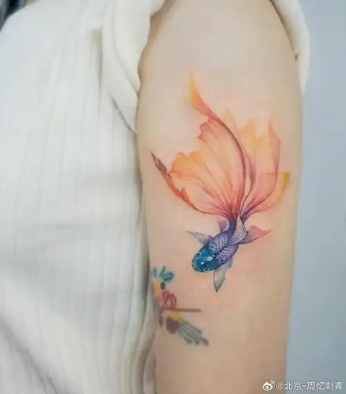 今日纹身图案分享    彩色鱼    #纹身分享##纹身设计##北京纹身店