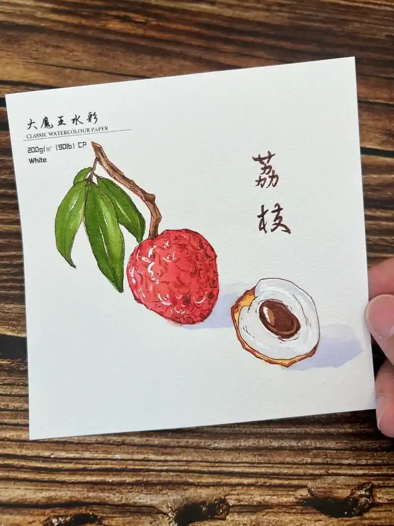 钢笔淡彩美食/可口荔枝.步骤讲解: 第一步: 铅笔起稿,画面 - 抖音